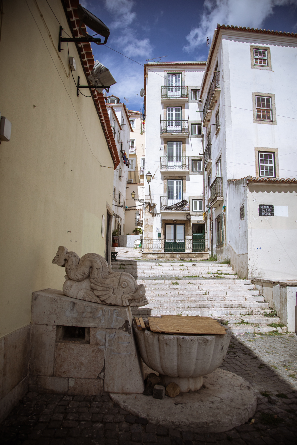 Fotografia di Francesco Nicosia