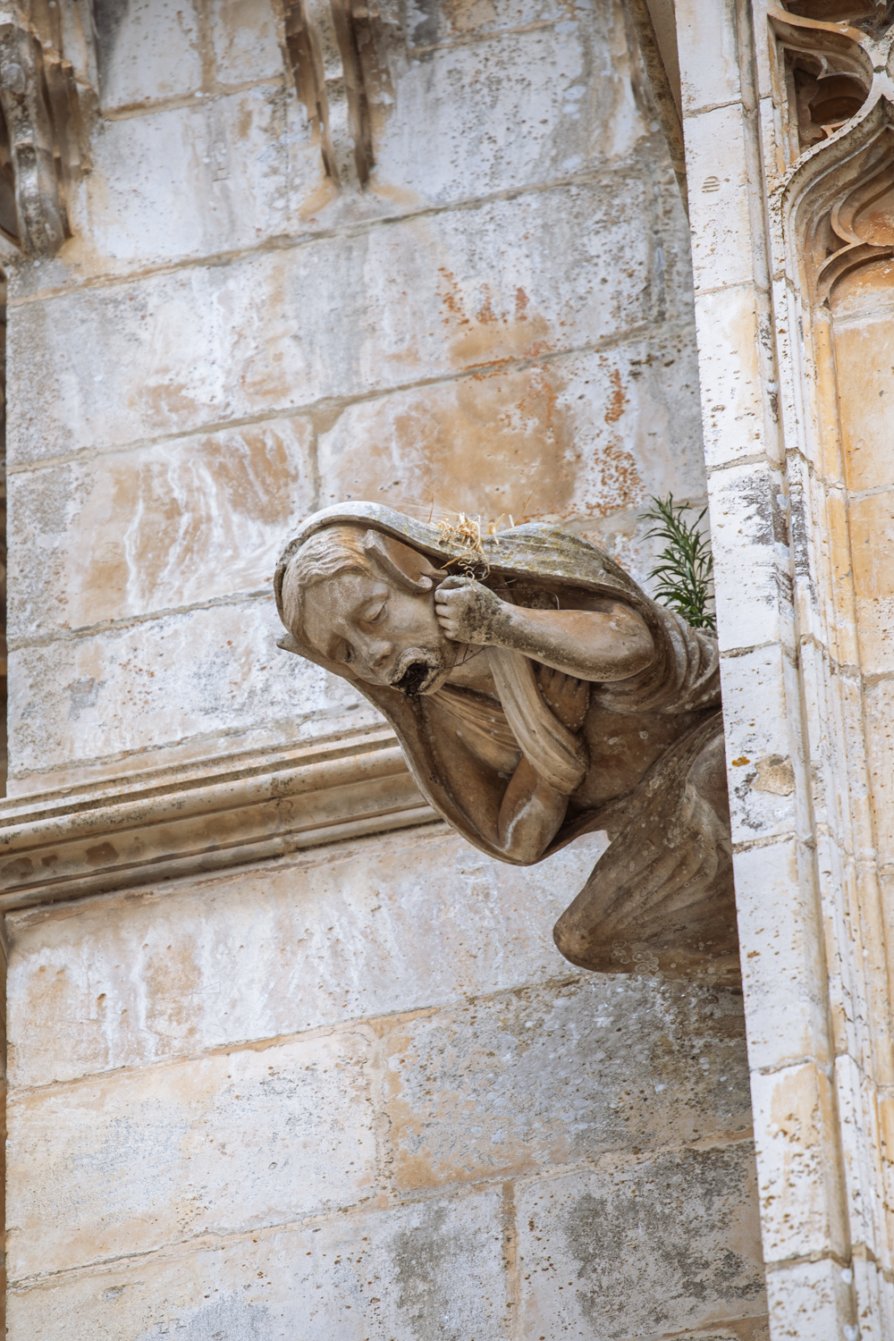 Fotografia di Francesco Nicosia