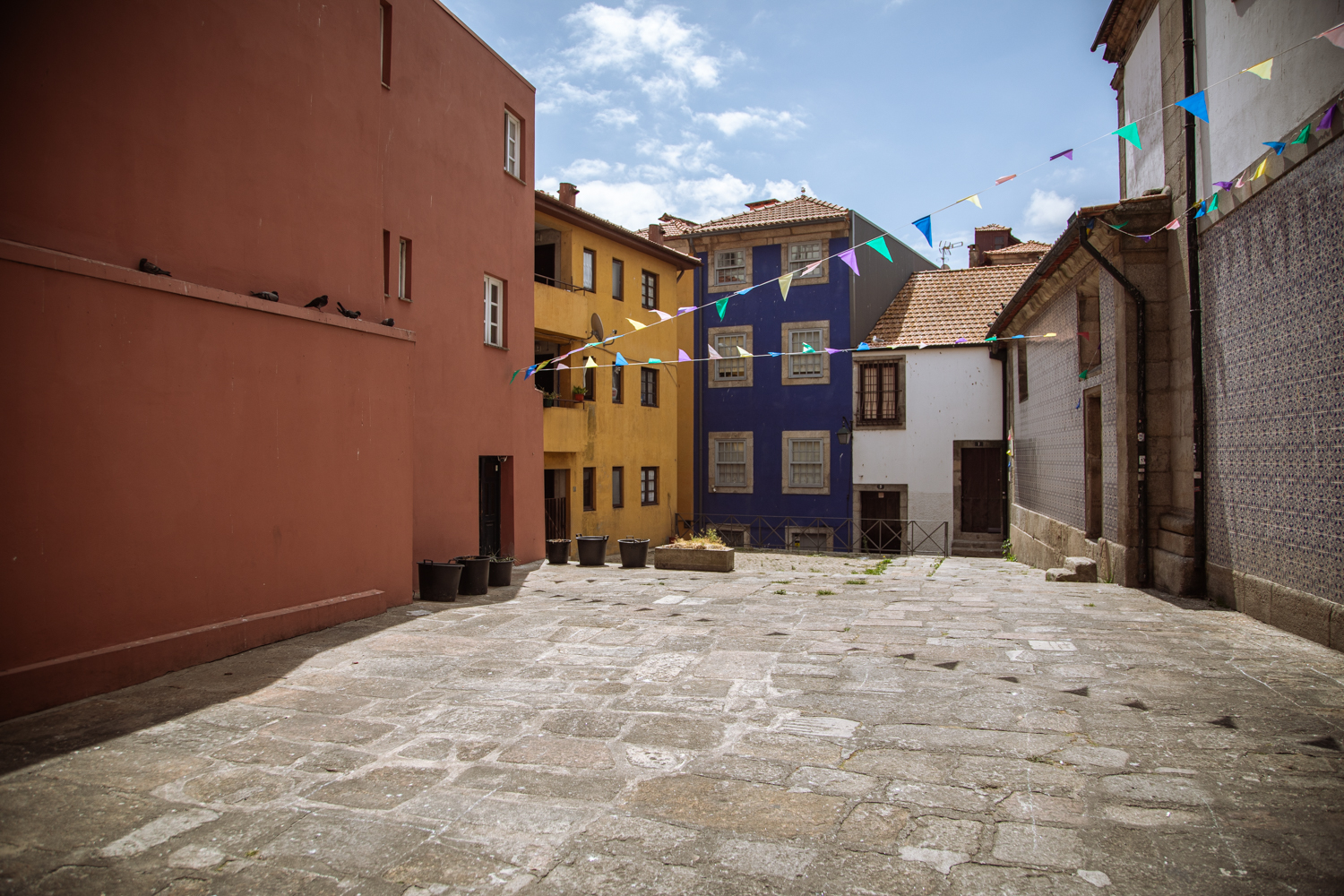 Fotografia di Francesco Nicosia